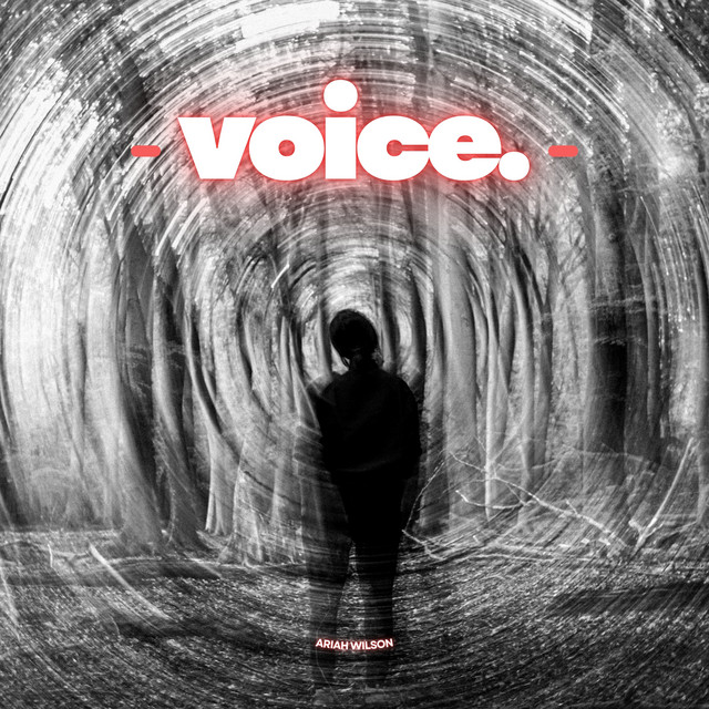 Voice cover