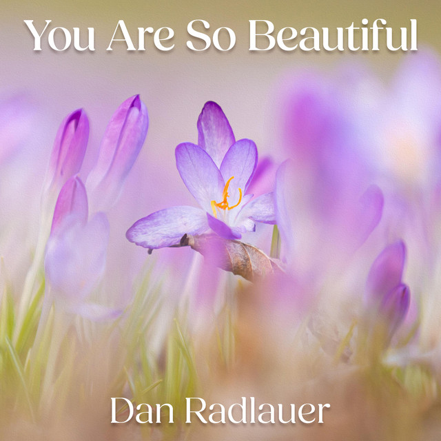 You Are So Beautiful cover art