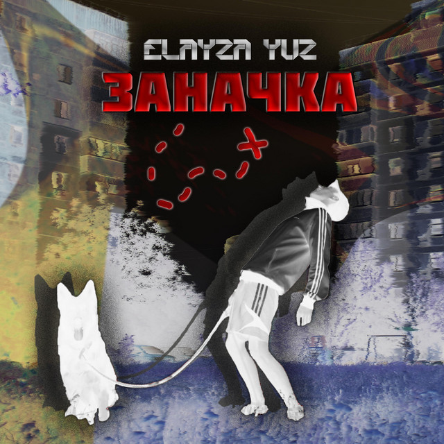 Обкладинка: Заначка — Elayza yuz