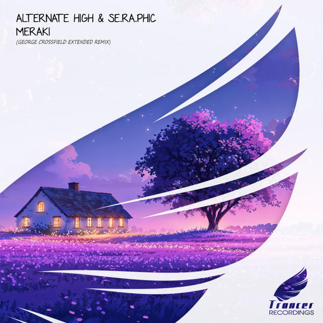 Meraki cover