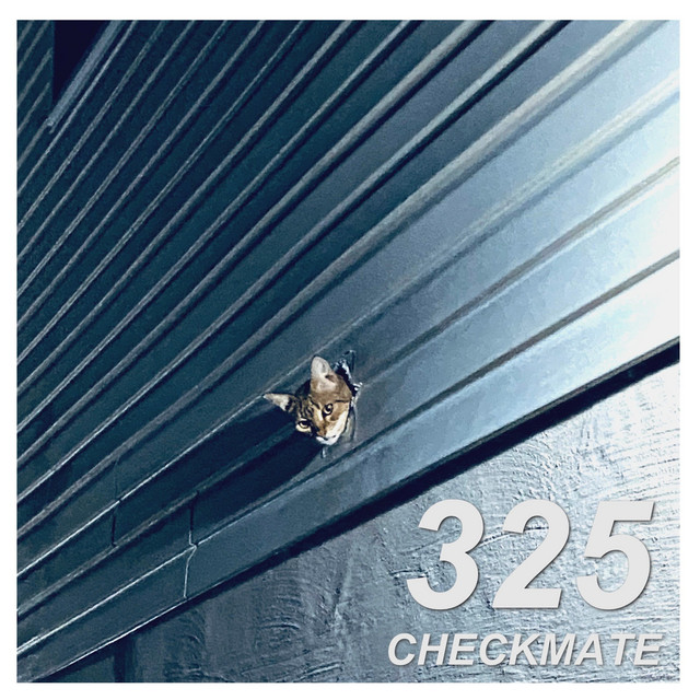 325 cover