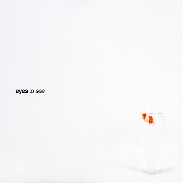Eyes to See cover art