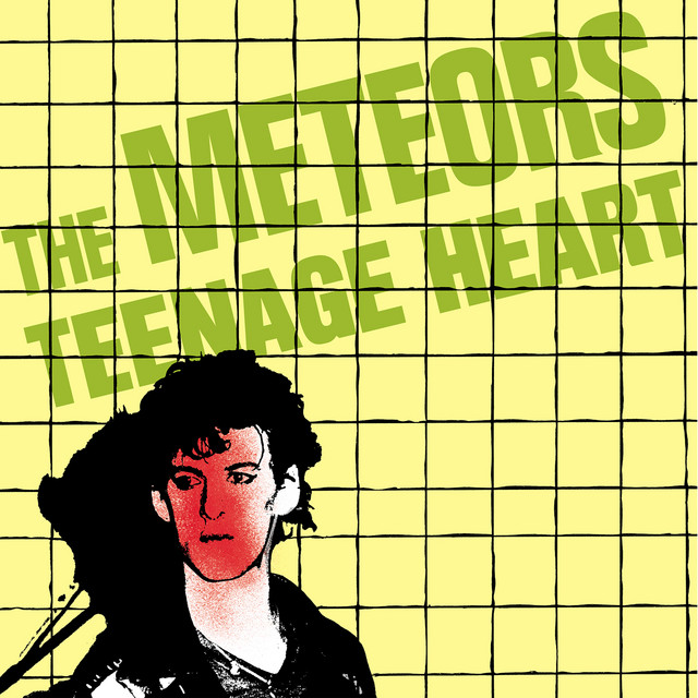 Teenage Heart cover