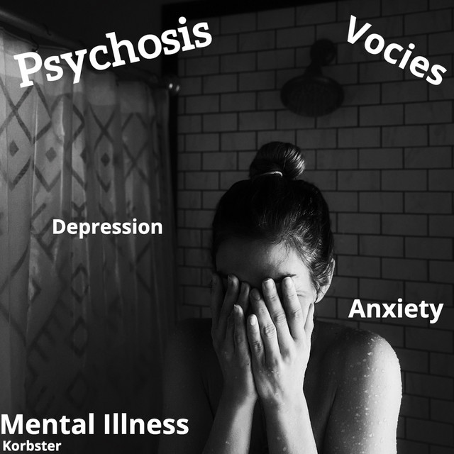 Mental Illness cover art