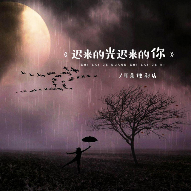 迟来的光迟来的你 (DJ默涵版)