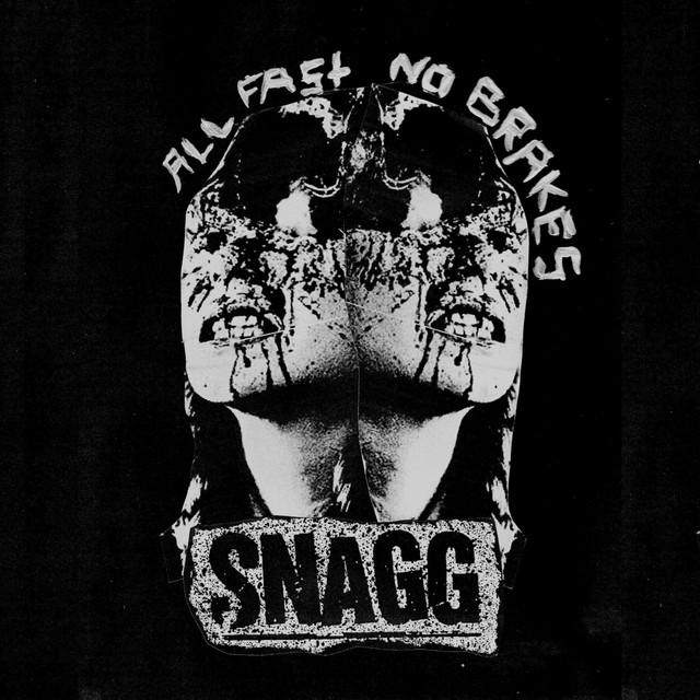 ALL FAST NO BRAKES cover art