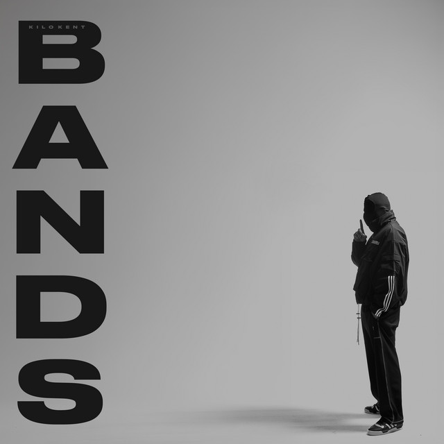 BANDS cover art