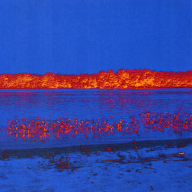 Resonant Restoration cover art