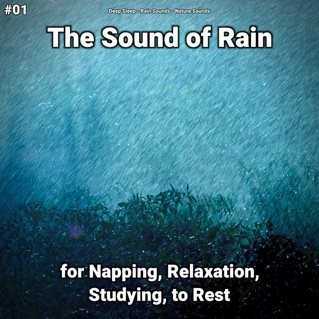 #01 The Sound of Rain for Napping, Relaxation, Studying, to Rest cover art