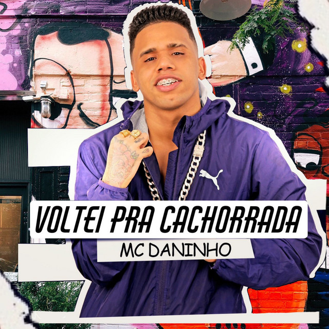 Voltei pra Cachorrada (Remix Brega Funk) cover art