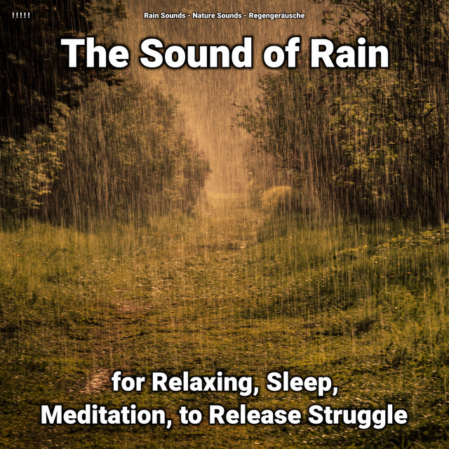 ! ! ! ! ! The Sound of Rain for Relaxing, Sleep, Meditation, to Release Struggle cover art