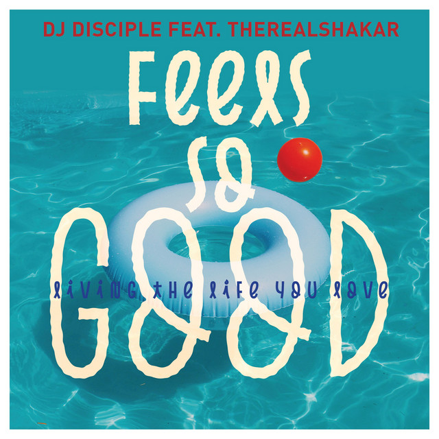 Feels So Good Living The Life You Love - Tom Chubb Soulful Dub Mix cover art