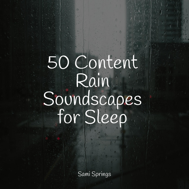 50 Content Rain Soundscapes for Sleep - Album by Zen | Spotify