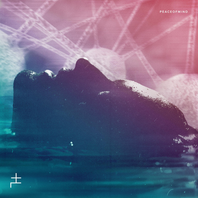 PeaceOfMind cover art