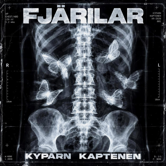 FJÄRILAR album image