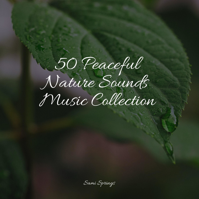50 Peaceful Nature Sounds Music Collection - Album by Chillout Lounge ...