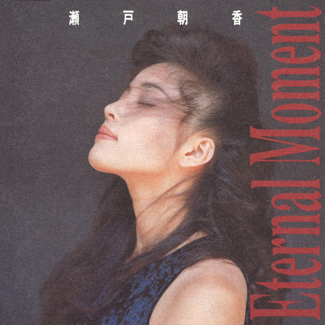 瀬戸朝香 Photo