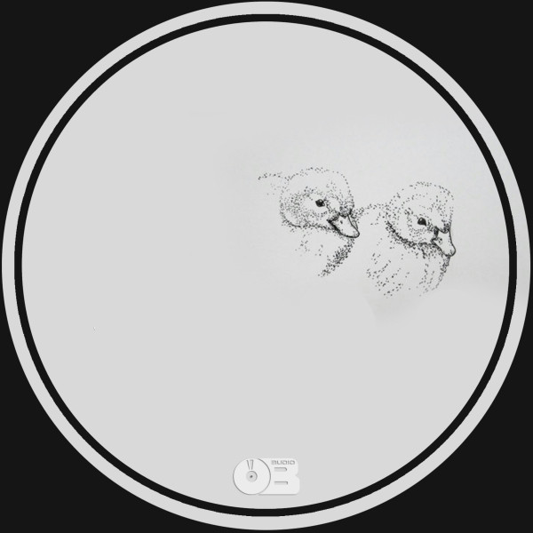 Ducks cover art