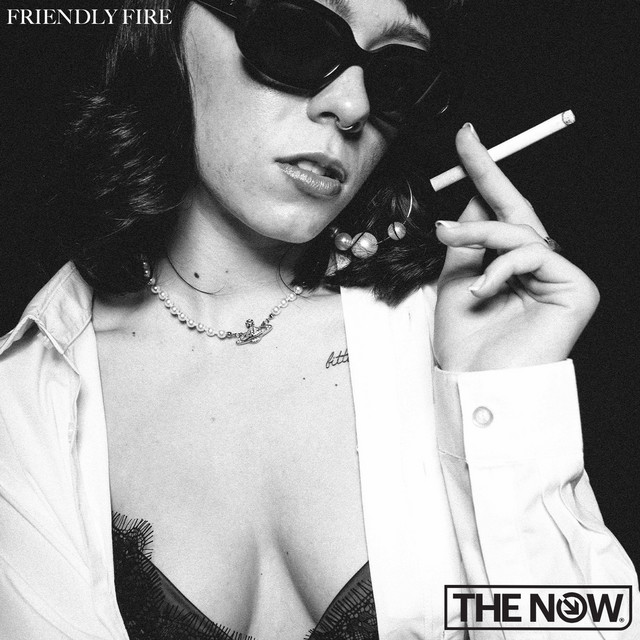 Friendly Fire cover art