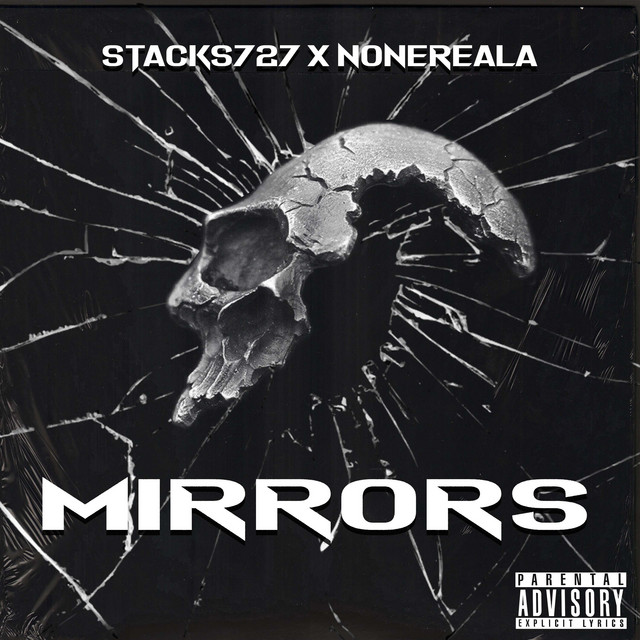 Mirrors cover