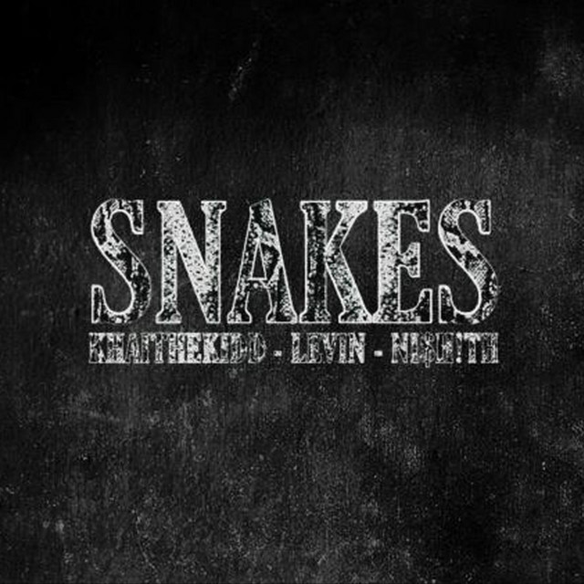 Snakes cover art