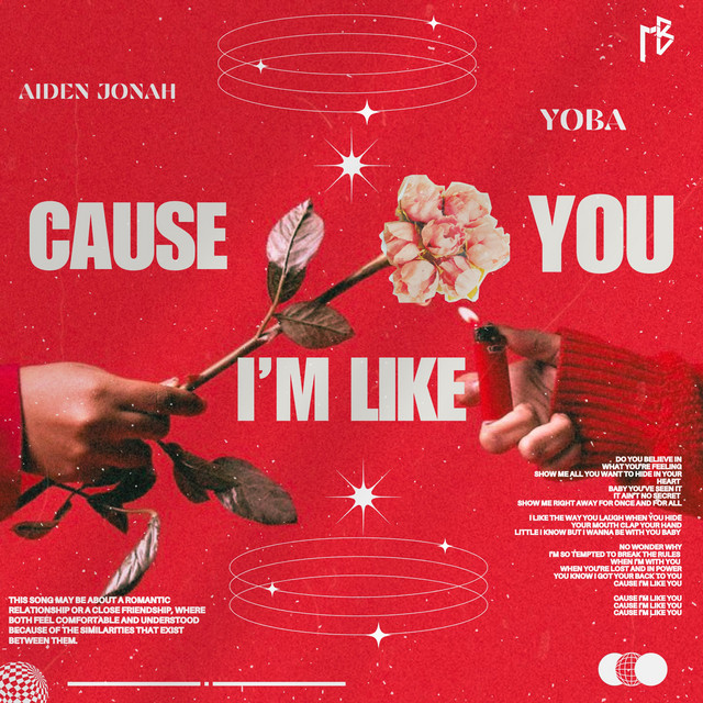 Cause I'm Like You
