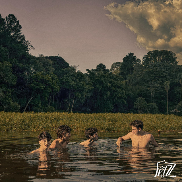 Frizz cover art