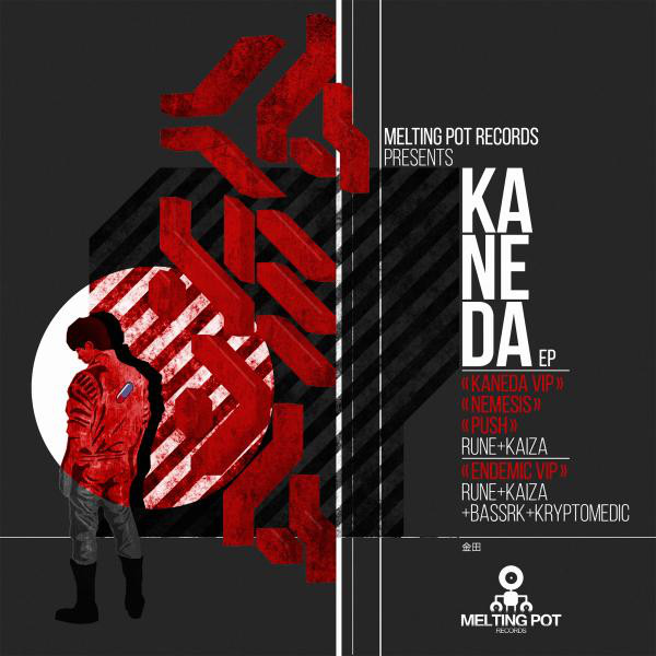 Endemic VIP (feat. Kryptomedic) - Original Mix artwork
