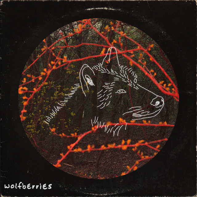 Wolfberries cover art