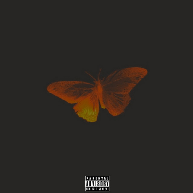 Bag! cover art