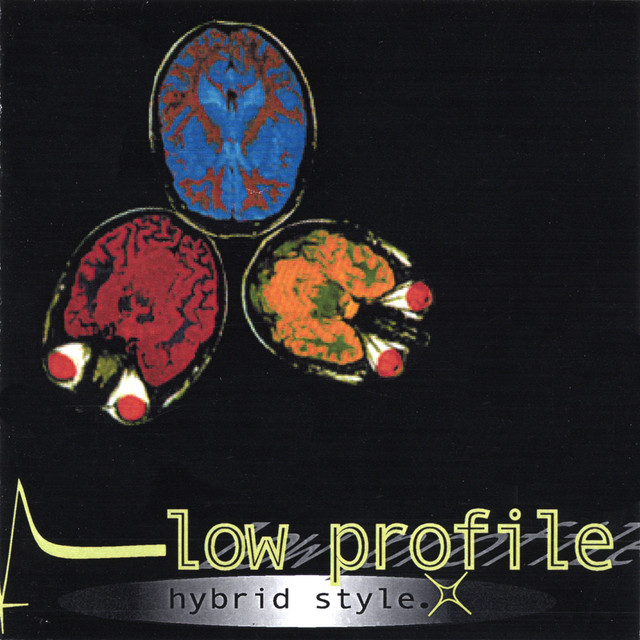 Hybrid Style cover art