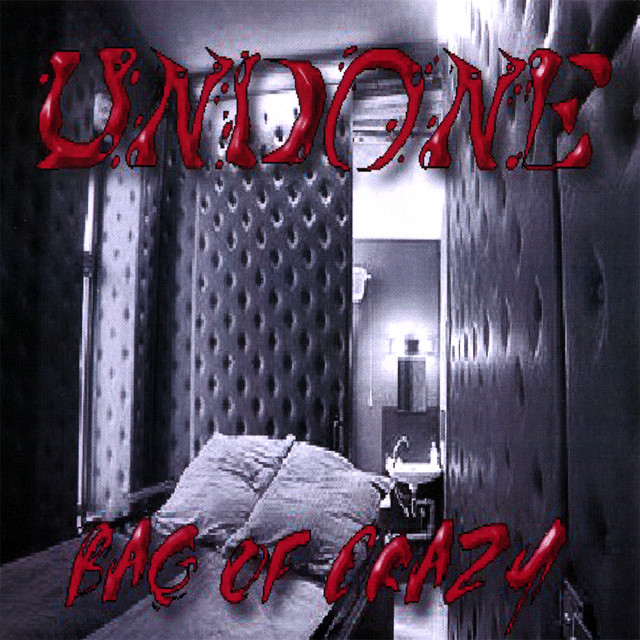 Bag Of Crazy cover