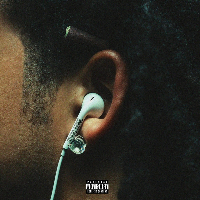 Studio Junkie cover art