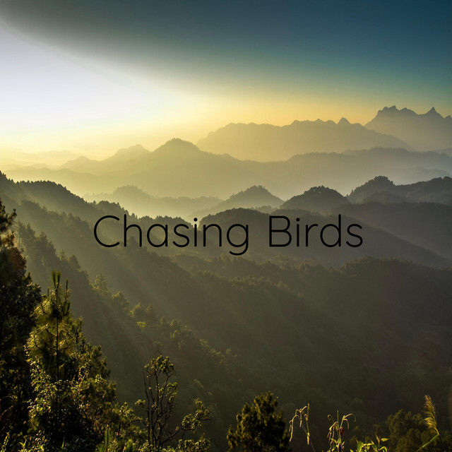 Matthias Schneiders – Chasing Birds