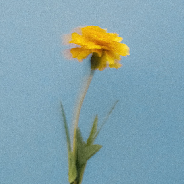 Ecstasy cover art