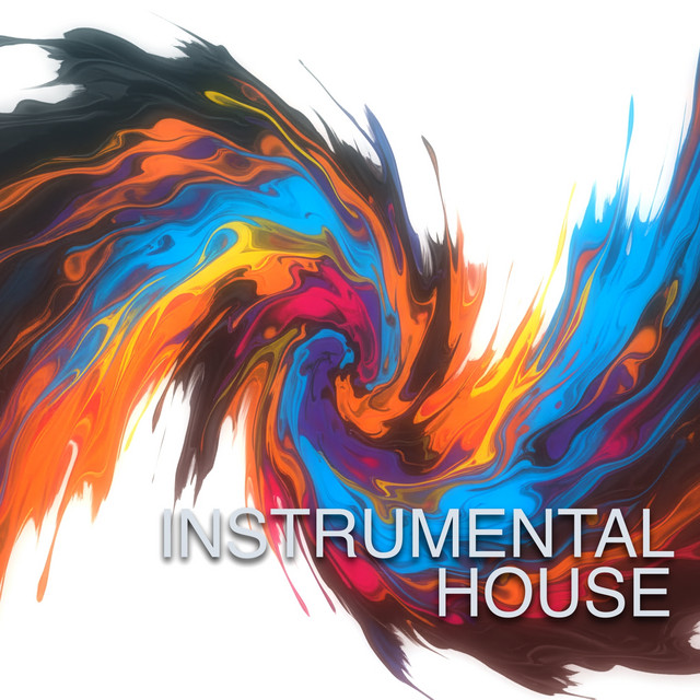 Into the Night - Instrumental Mix album art
