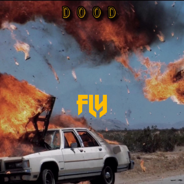 FLY cover art