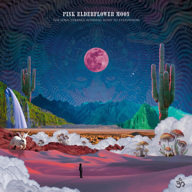 The Long Strange Winding Road to Everywhere cover art