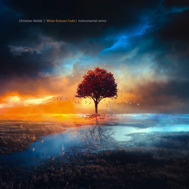 When Echoes Fade (Instrumental Remix) (single)