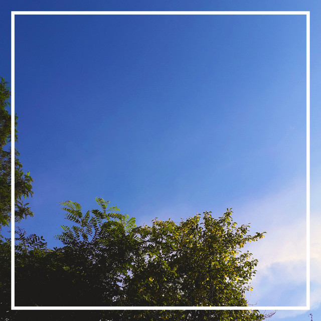 Feels cover art