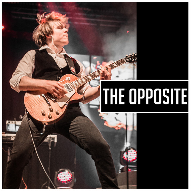 The Opposite - Single by Marco Roth | Spotify