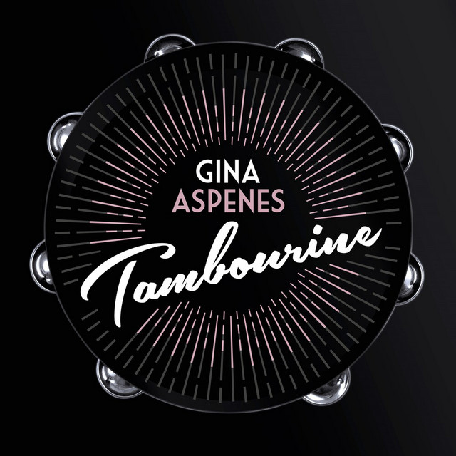 Tambourine cover