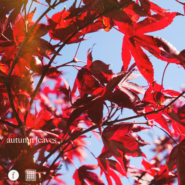 Autumn Leaves