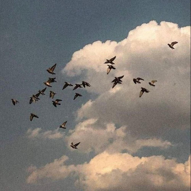As you go on