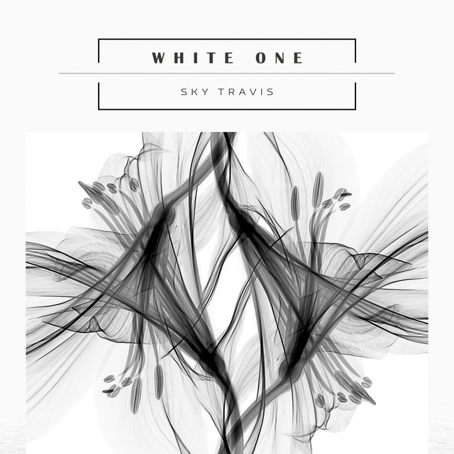 White One by Sky Travis