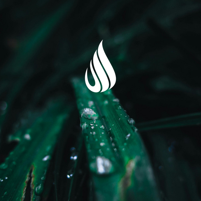 Rainy Sierra by Epiphonema