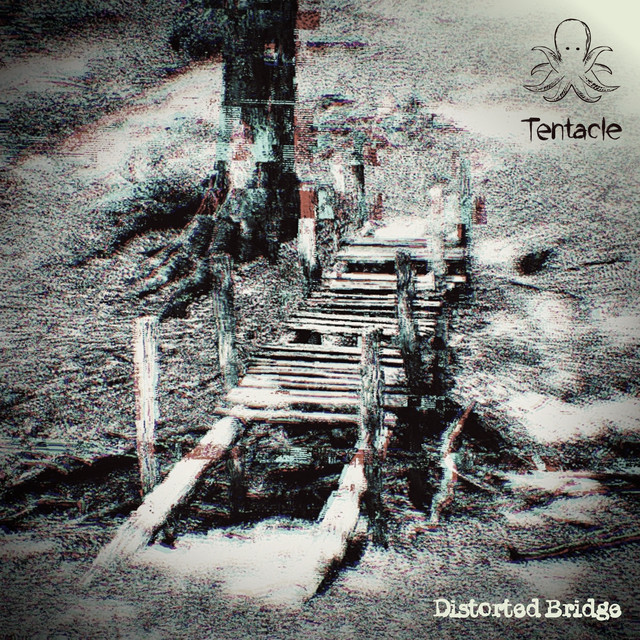 Distorted Bridge cover art