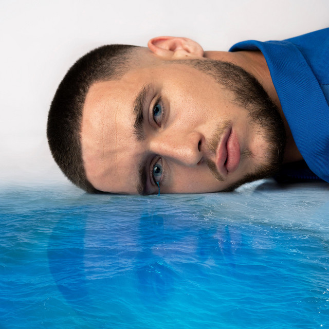 VAGUE À LARMES cover art