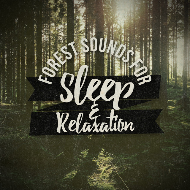 Forest Sounds for Sleep and Relaxation - Album by Nature Sounds for ...