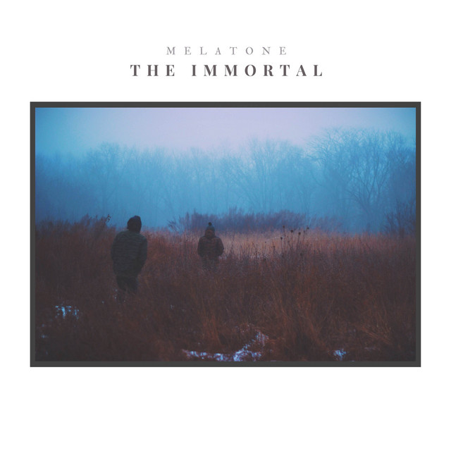 The Immortal cover
